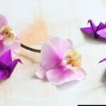 Origami-Para-Iniciantes